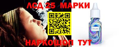 СК Новокубанск