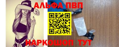 СК Новокубанск