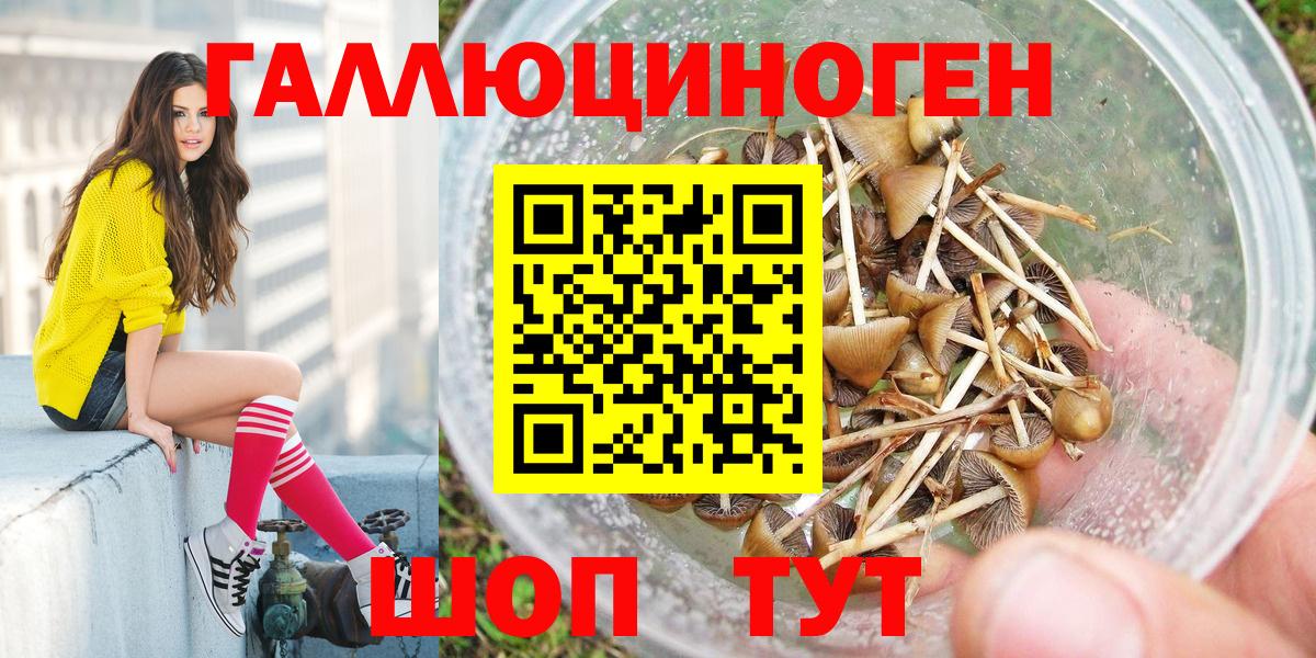 Черняховск  Галлюциногенные грибы Cubensis  Вход с VPN  Галлюциногенные грибы мицелий 