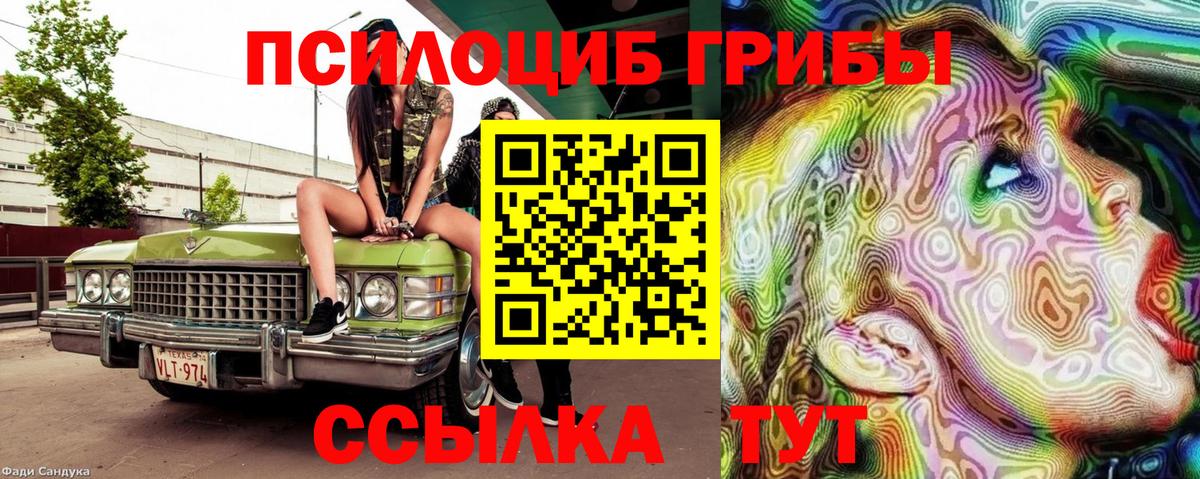 Галлюциногенные грибы Psilocybine cubensis Черняховск